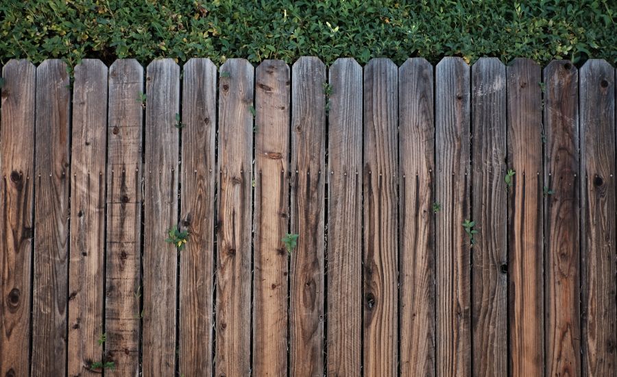 how long will untreated wood last outside 1