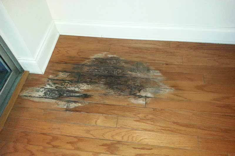 wood floor water damage